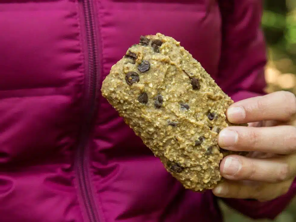 Barres protéinées maison santé et gourmandise dans une recette facile